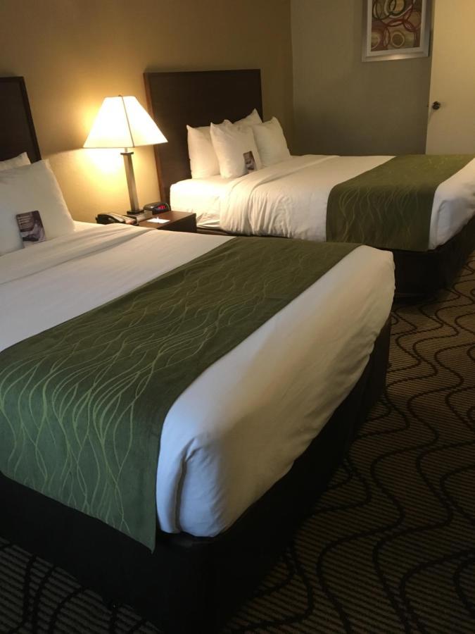 Comfort Inn & Suites Orange County John Wayne Airport Santa Ana Luaran gambar